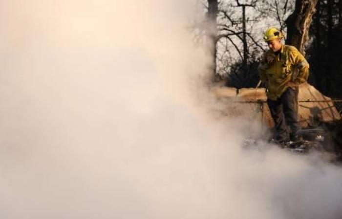 CPLF 2025 : les maladies pulmonaires sont environnementales