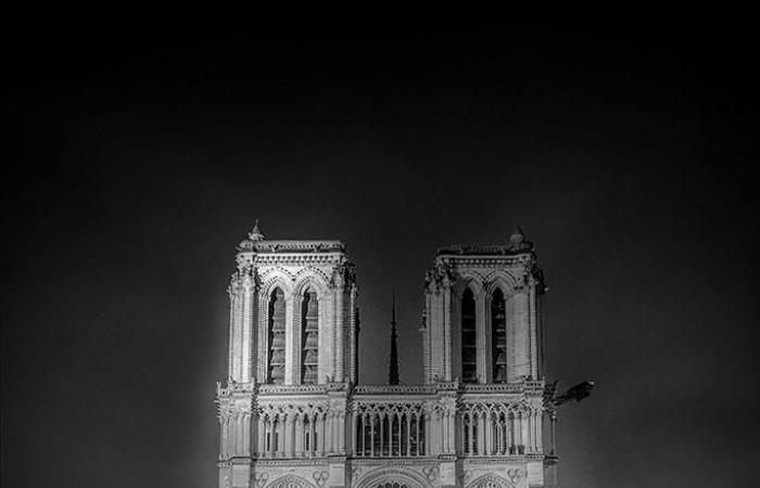 Danica O. Kus : Notre-Dame de Paris