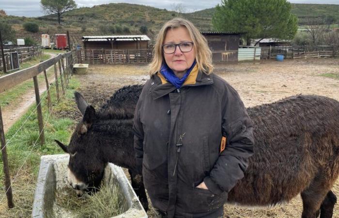 FAIT DU SOIR À Générac, la mort de l’âne “Pompon” plonge Valérie dans le désarroi