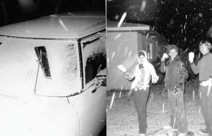 Les habitants de Tampa se sont réveillés dans un paysage hivernal merveilleux en 1977