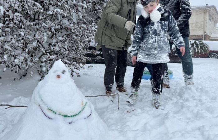 Une rare tempête hivernale enterre le sud de la Louisiane sous la neige, interrompant la vie quotidienne