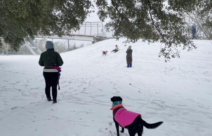 Une rare tempête de neige frappe le Texas