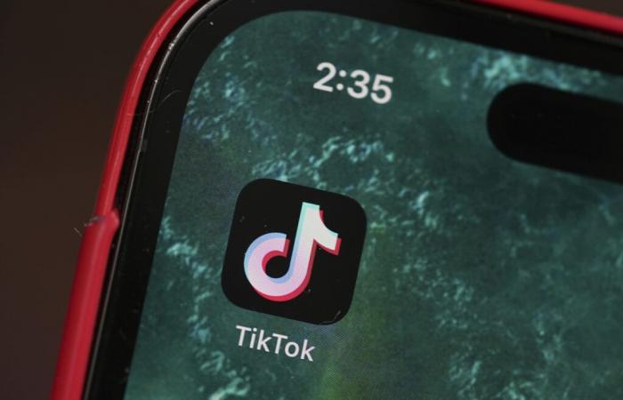 Trump favorable à un rachat de TikTok par Musk