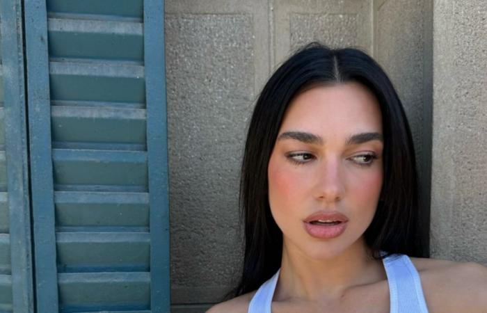 Ces produits pourraient-ils être le secret des cheveux brillants de Dua Lipa ?