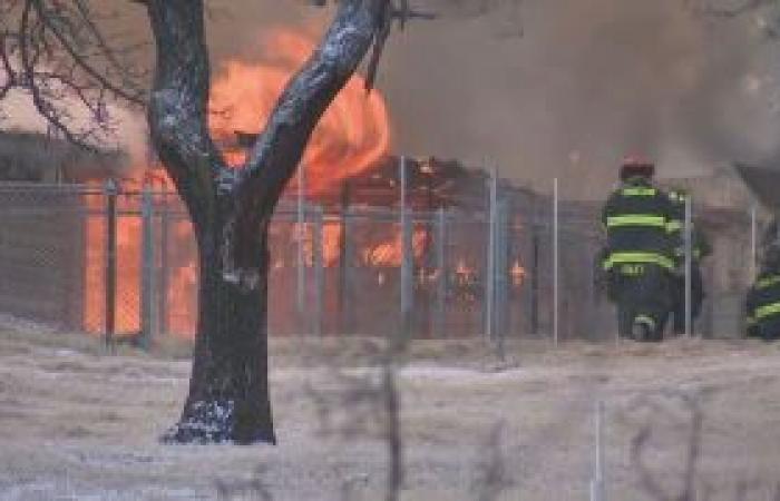 Le propriétaire d’un refuge pour chiens dévasté par un incendie brave le danger pour sauver des dizaines de chiens