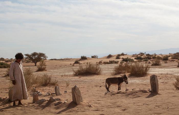 Trafic d’organes, western bédouin et handicap, ou pas, au programme