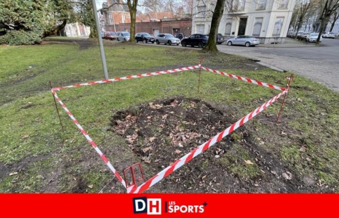 Le trou des gorilles du parc de Brassens sera bientôt comblé en attendant la suite