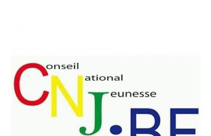 Le Conseil National de la Jeunesse, d’hier à aujourd’hui…, une faîtière qui peine à convaincre !