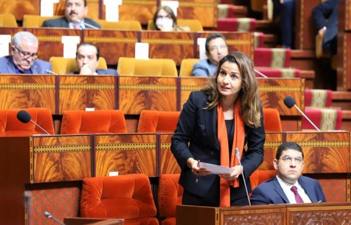 Le Maroc n’investira pas les impôts des citoyens dans l’hydrogène vert, qui n’est pas compétitif