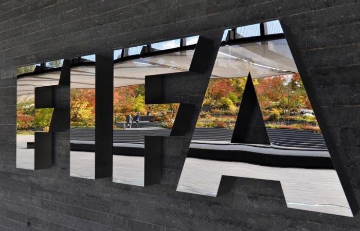 Programme Qualité de la FIFA