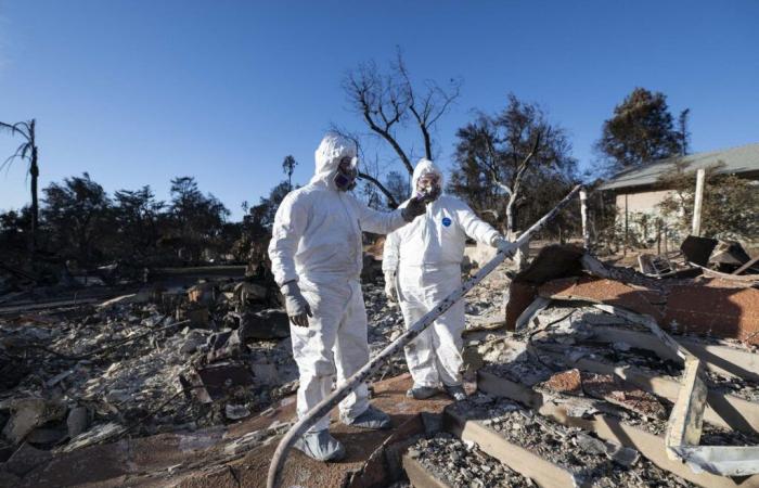 les incendies laissent derrière eux une catastrophe sanitaire