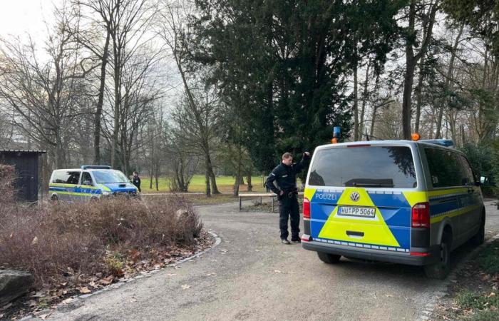 deux morts dont un enfant dans un parc d’Aschaffenburg