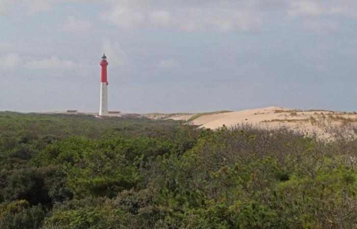 pétitions pour sauver le phare de la Coubre – Sud Ouest