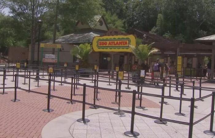 Le zoo d’Atlanta ouvre ses portes lundi soir en raison de « températures anormalement froides » – WSB-TV Channel 2