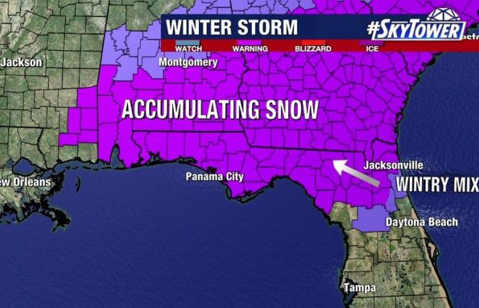 Les habitants de Tampa se sont réveillés dans un paysage hivernal merveilleux en 1977