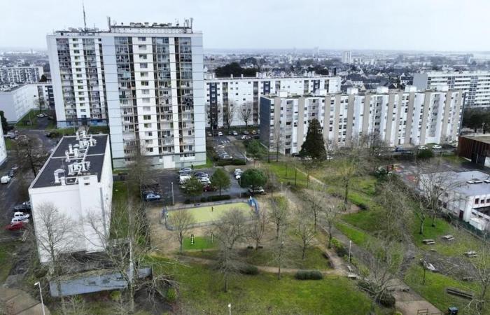 Meurtre de Denis à Lorient : le suspect entendu dans une autre affaire pour tentative de meurtre