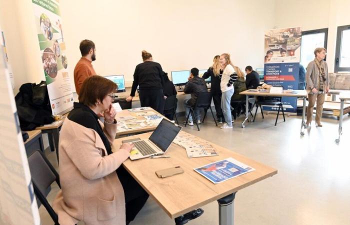 Quel est cet outil numérique qui aide les jeunes en Dordogne ?