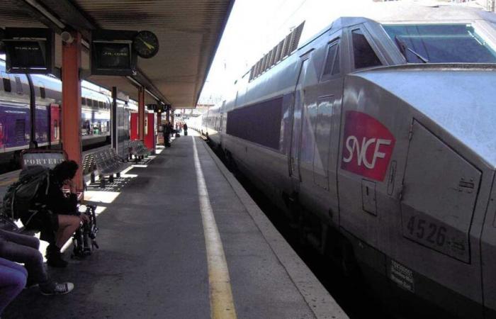 de nombreux trains annulés et des retards dans les gares après le décès d’un agent SNCF