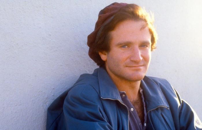 Que sait-on réellement de la carrière de Robin Williams ?