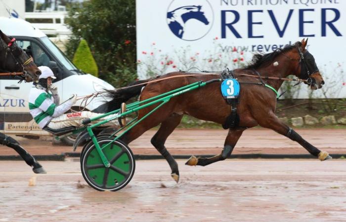 Mercredi à Cagnes – Prix Tigre Royal : Le Cashmaker se réhabilite