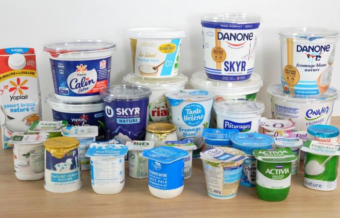 Skyr, petit-suisse… (vidéo) – Quel produit laitier choisir pour sa santé ? – Nouvelles