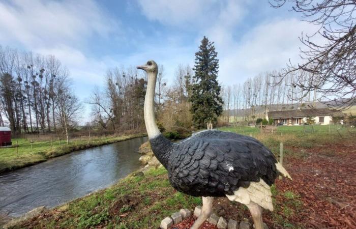 fin de l’aventure pour Cyril et Victor qui ont mis le parc en vente