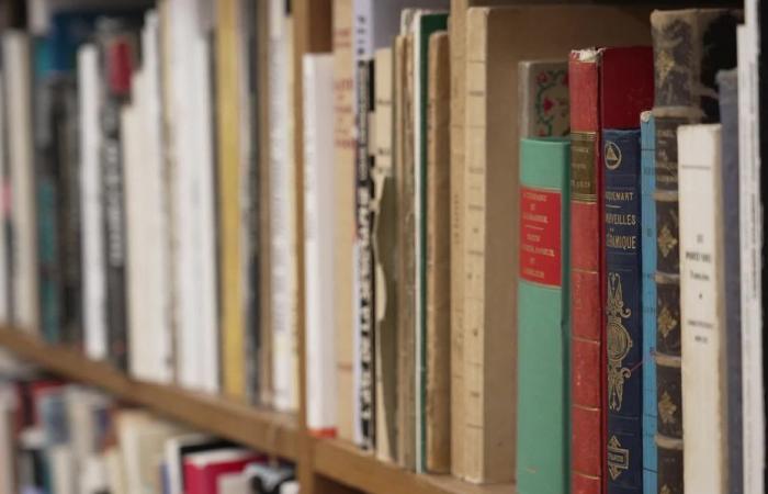 le programme riche en activités des Nuits de la lecture dans les Hauts-de-France