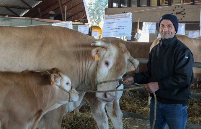 une Princesse, un Viconte et Pin Pon en route pour le Salon de l’Agriculture