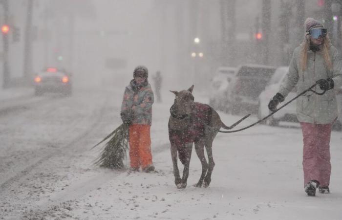 La Nouvelle-Orléans frappée par une rare tempête de neige