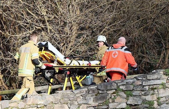 Attaque au couteau à Aschaffenbourg : il est mort en essayant de protéger des enfants