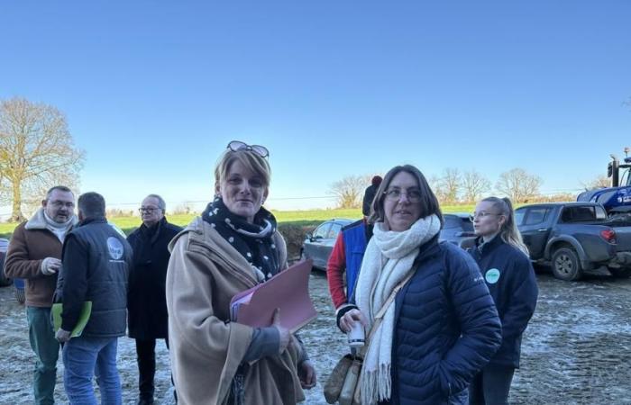 Élection 2025 à la Chambre d’Agriculture de la Manche