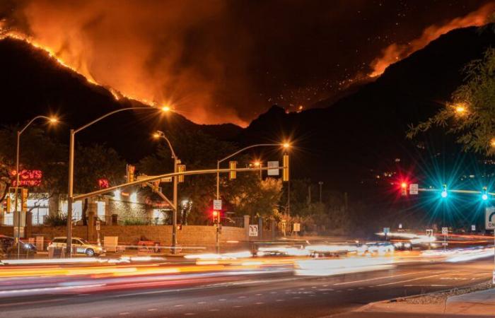 Incendies de forêt dans la région de Los Angeles : l’évaluation jouera un rôle clé dans les efforts de reconstruction