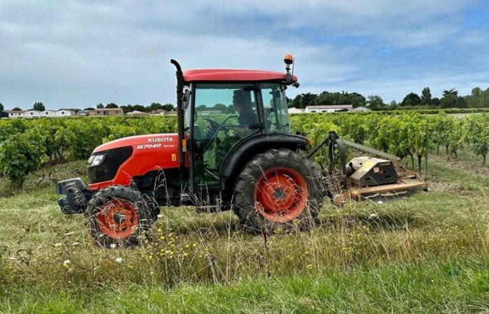 Un homme se suicide quelques heures après avoir accidentellement tué sa mère en l’écrasant avec son tracteur