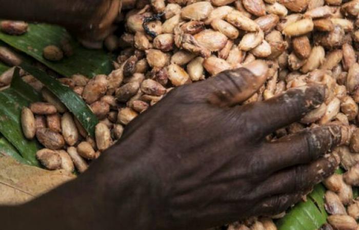 Le géant du cacao Barry Callebaut fait face à une baisse de la demande