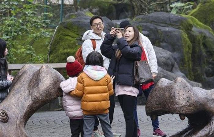 Temps froid prévu pour le Nouvel An lunaire