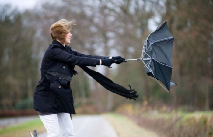 à quoi s’attendre en Côte d’Or