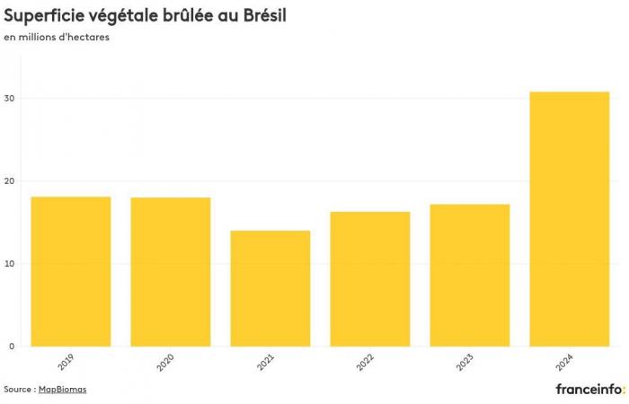 CARTE. Visualisez le déclenchement des feux de végétation au Brésil, quelques mois avant la COP30 en Amazonie