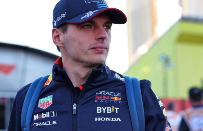 Nouveau pilote, Red Bull annonce « un chiot » pour affronter Verstappen !