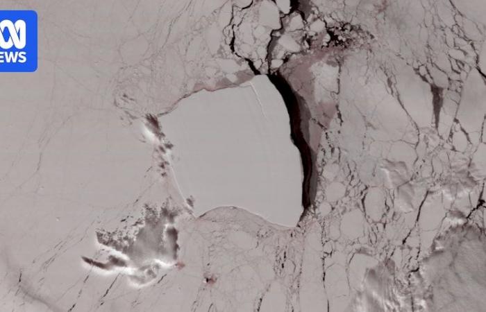 Le plus gros iceberg A23a du monde dérive vers une île peuplée de manchots