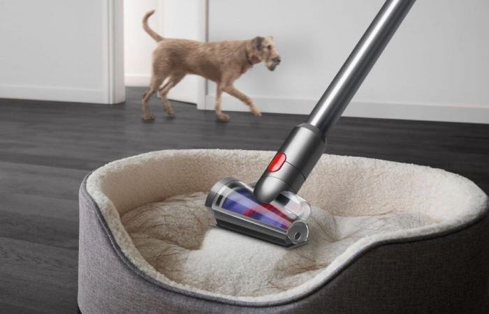 A ce prix, l’aspirateur Dyson V15 que tout le monde désire va vite disparaître des stocks