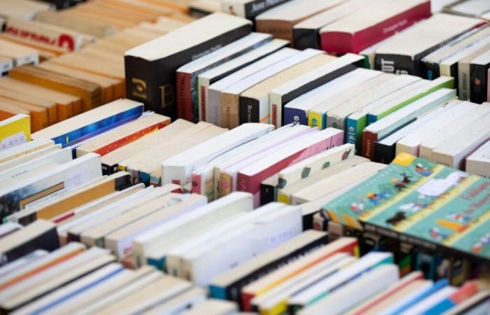 Quels auteurs francophones ont vendu le plus de livres en 2024 ? Voici le top 3 !