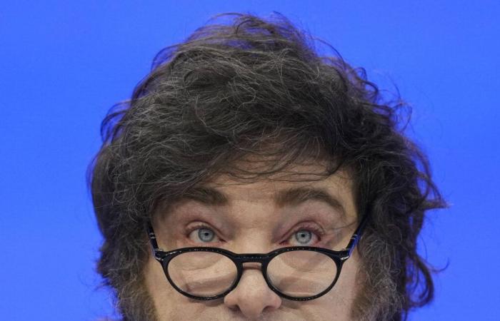 Javier Milei dénonce un « cancer réveillé » et défend « le geste innocent » de « son ami » Musk