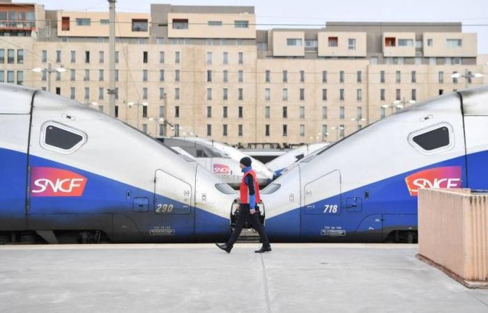 La gare Saint-Charles de Marseille est à l’arrêt en raison d’un