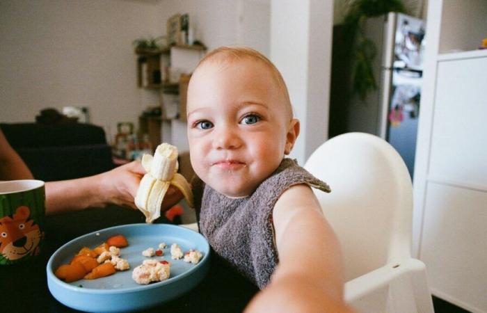 Profitez de 46% de réduction sur le livre « Mes premiers repas » de BÉABA aujourd’hui