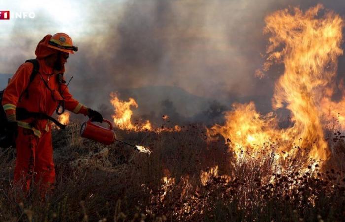 un nouvel incendie violent se propage près de Los Angeles, plus de 30 000 évacuations