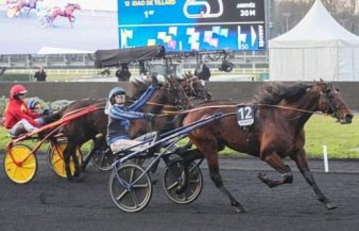 18 coureurs pour conquérir le Graal – Trot