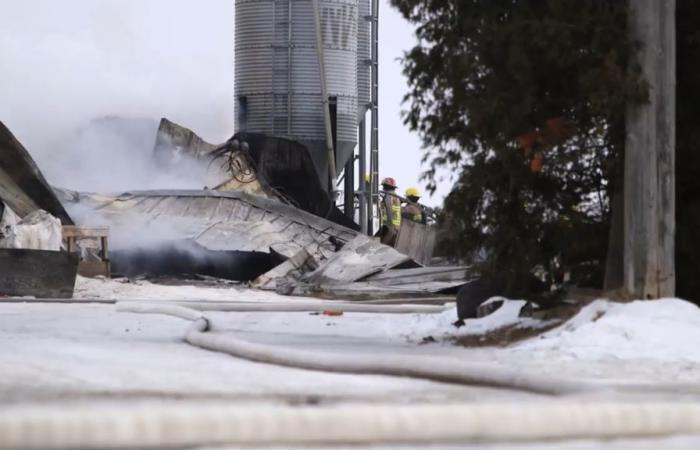 La vie d’un agriculteur brisée après la mort de ses 40 vaches dans un incendie