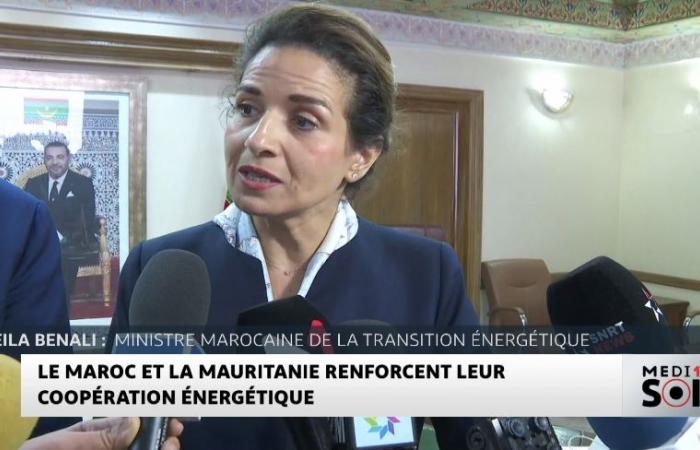 Le Maroc et la Mauritanie renforcent leur coopération énergétique