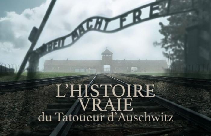 Le Tatoueur d’Auschwitz, d’après le livre, une série et un documentaire