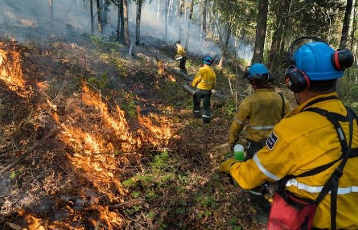 Le parc national de la Mauricie menacé d’incendie à l’avenir